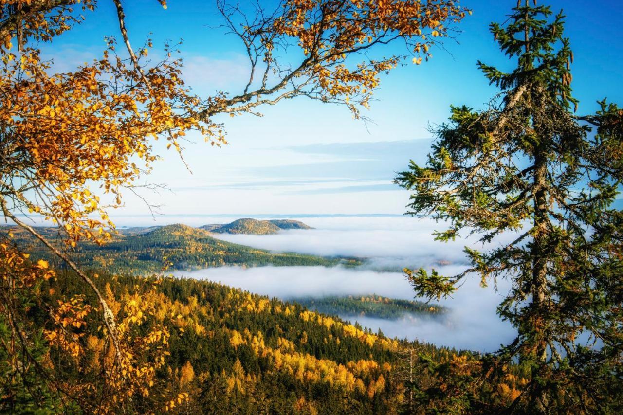 Break Sokos Hotel Koli Kolinkylä Zewnętrze zdjęcie